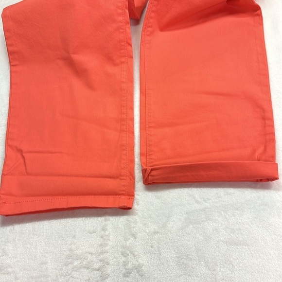 Stylus Dubarry Coral Chino Straight Leg Pant Cotton/Spandex Size 16 NWT - Picture 9 of 11